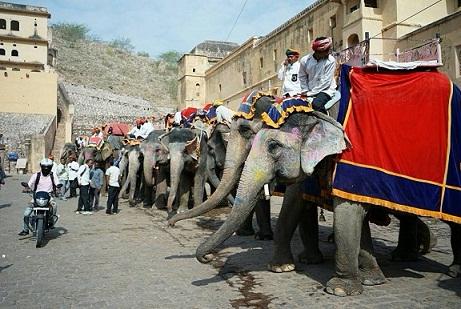 10 ที่เที่ยวชัยปุระ(นครสีชมพู)พลาดไม่ได้ (10 Places to Visit in Jaipur)