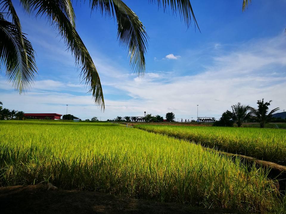 9 สถานที่พลาดไม่ได้เมื่อไปเพชรบุรี-ประจวบ