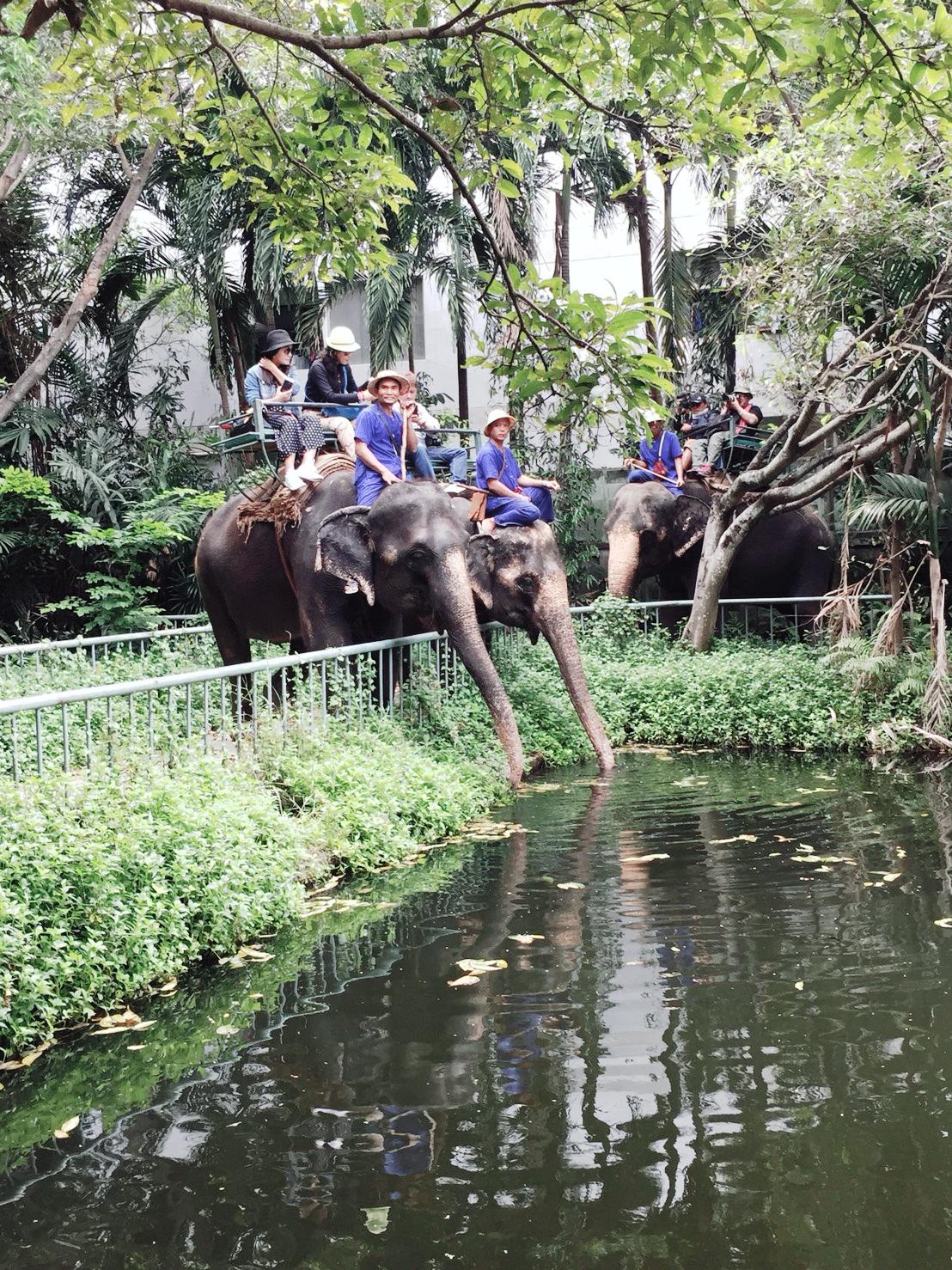 เที่ยวสนุกแสนฟินลานแสดงช้างและฟาร์มจระเข้สามพราน