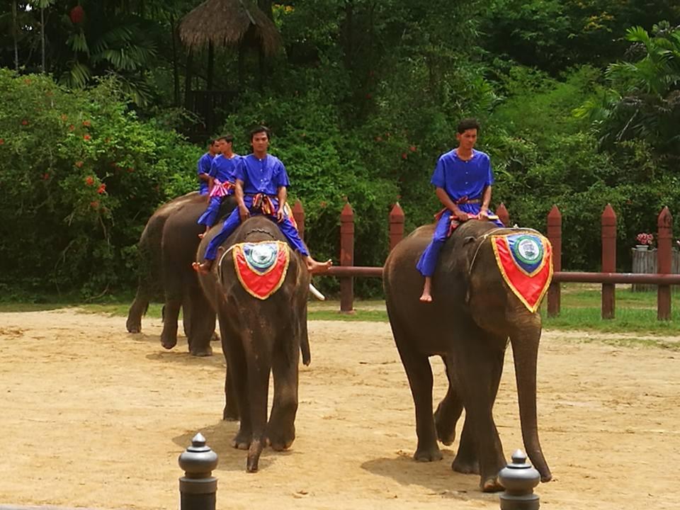 เที่ยวสนุกแสนฟินลานแสดงช้างและฟาร์มจระเข้สามพราน