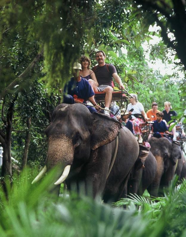 เที่ยวสนุกแสนฟินลานแสดงช้างและฟาร์มจระเข้สามพราน