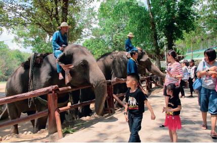 รางวัลกินรีหนุนท่องเที่ยวไทยยกระดับมาตรฐาน