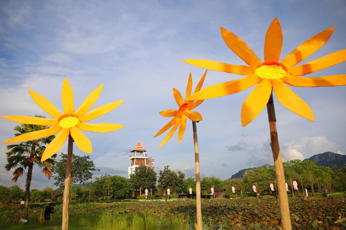 ฟินทะเลหมอก-ดอกปอเทือง ชมอลังการวัดพระธาตุดอยพระฌาน