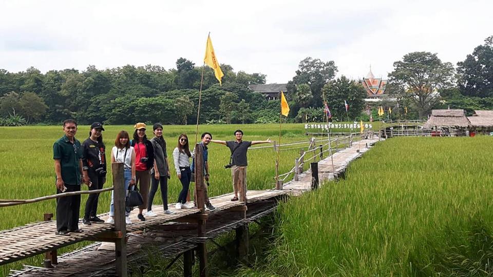 ฟินทะเลหมอก-ดอกปอเทือง ชมอลังการวัดพระธาตุดอยพระฌาน