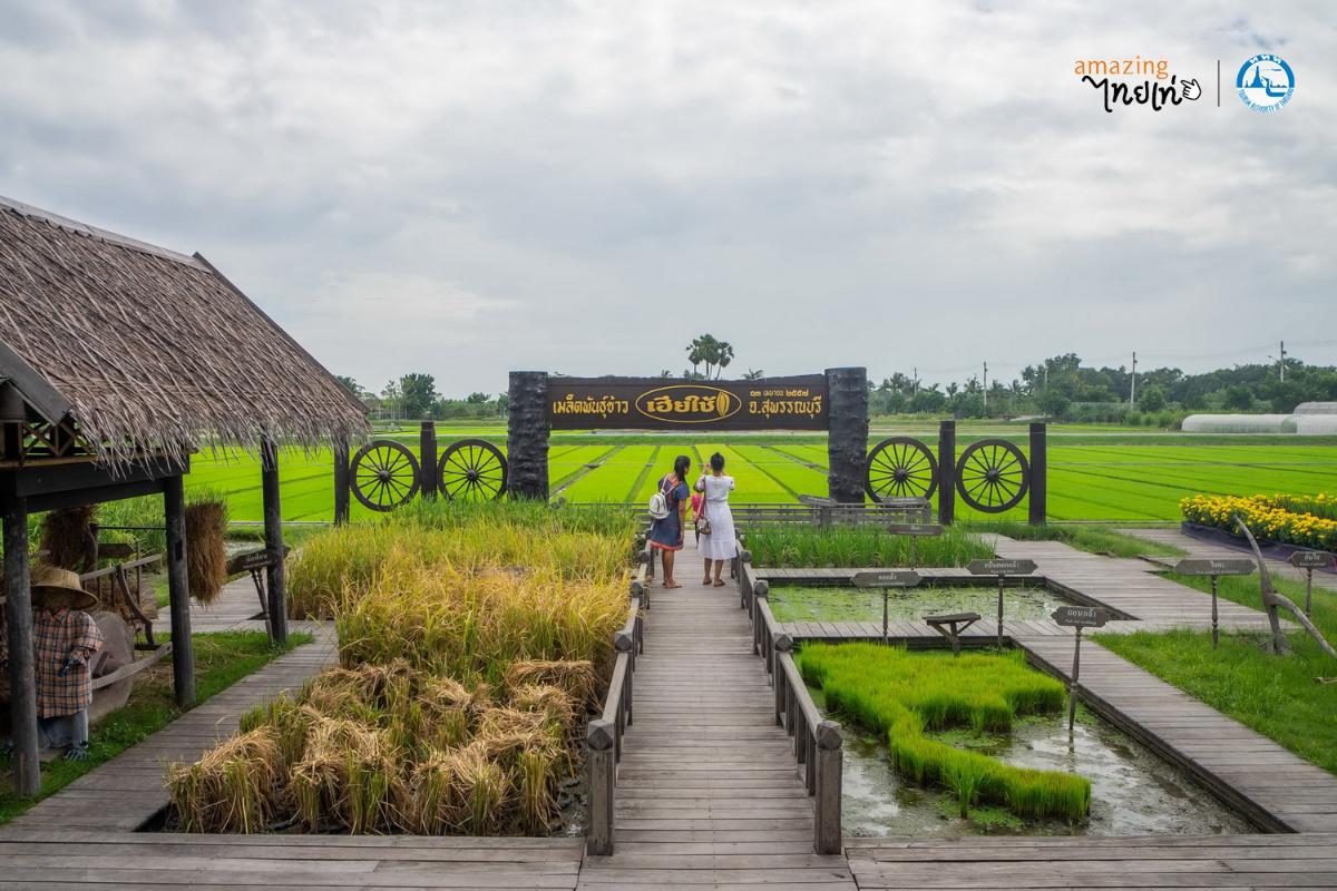 15 เช็คอินฟินเที่ยวสุพรรณบุรี