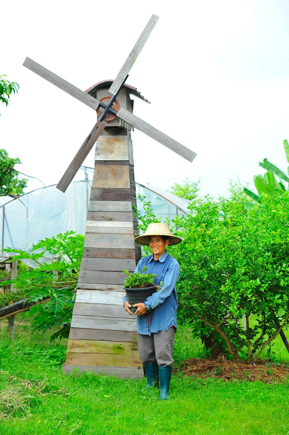 ททท.ชวนเที่ยวบ้านดอกบัว พะเยา ใน E-Book “เล่าเรื่องเมืองไทย ในวิถีชุมชน”