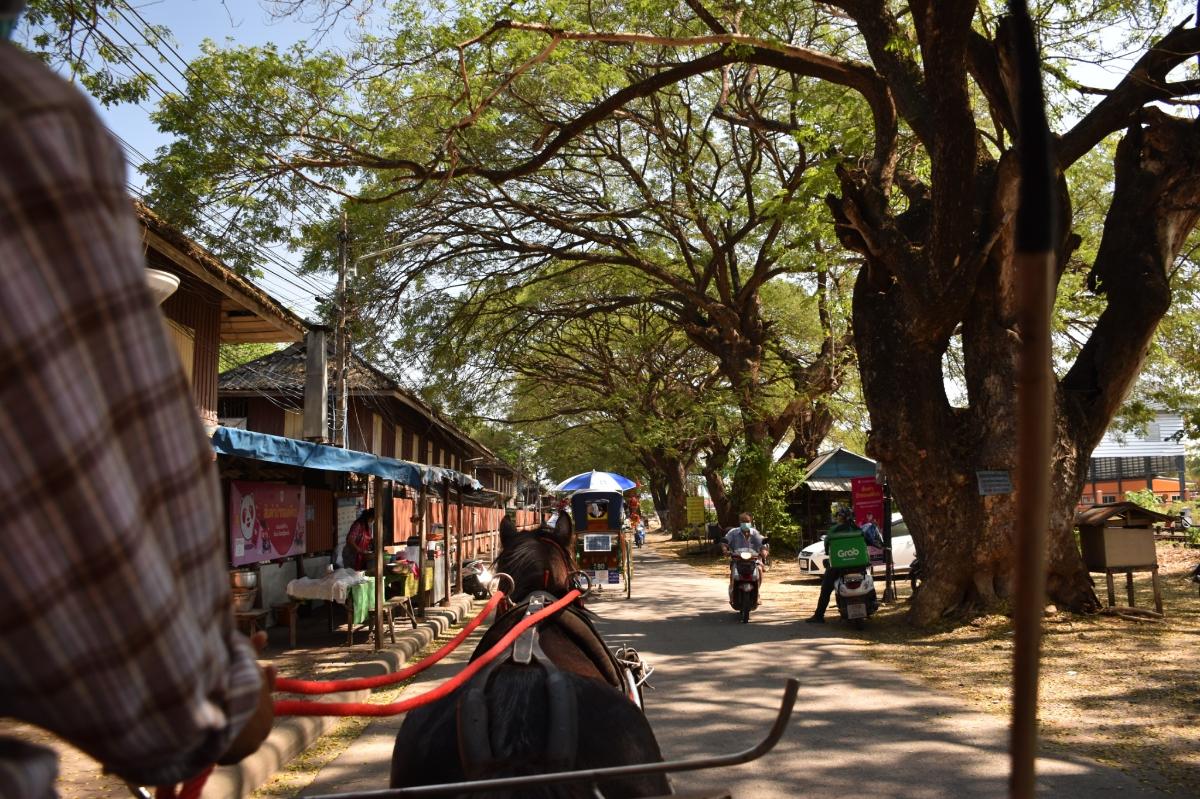 แสนสนุกบนรถไฟเที่ยวปฐมฤกษ์ Lanna Modernization เชื่อมเชียงใหม่ - ลำพูน – ลำปาง