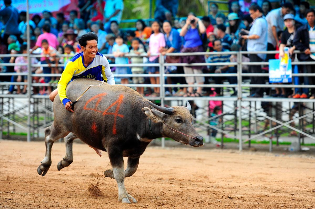 วัฒนธรรมประเพณีมีค่าของไทยที่ควรค่าแก่การอนุรักษ์ รักษาไว้  Colorful Culture