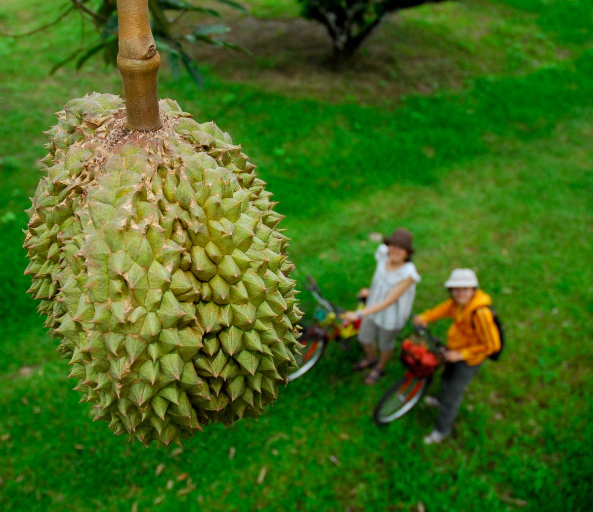 เที่ยวไปทำงานไป สุขใจไทยแลนด์ (Workation Around Thailand)