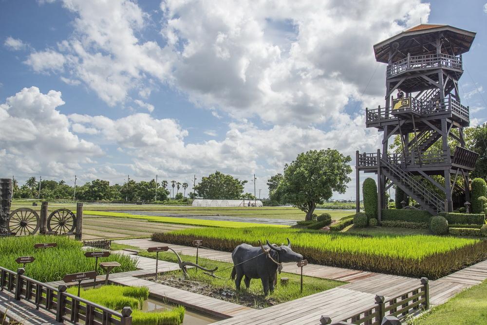 ทีเส็บแนะนำ 5 สถานที่จัดประชุมที่เป็นเสมือนห้องประชุมวิวธรรมชาติ