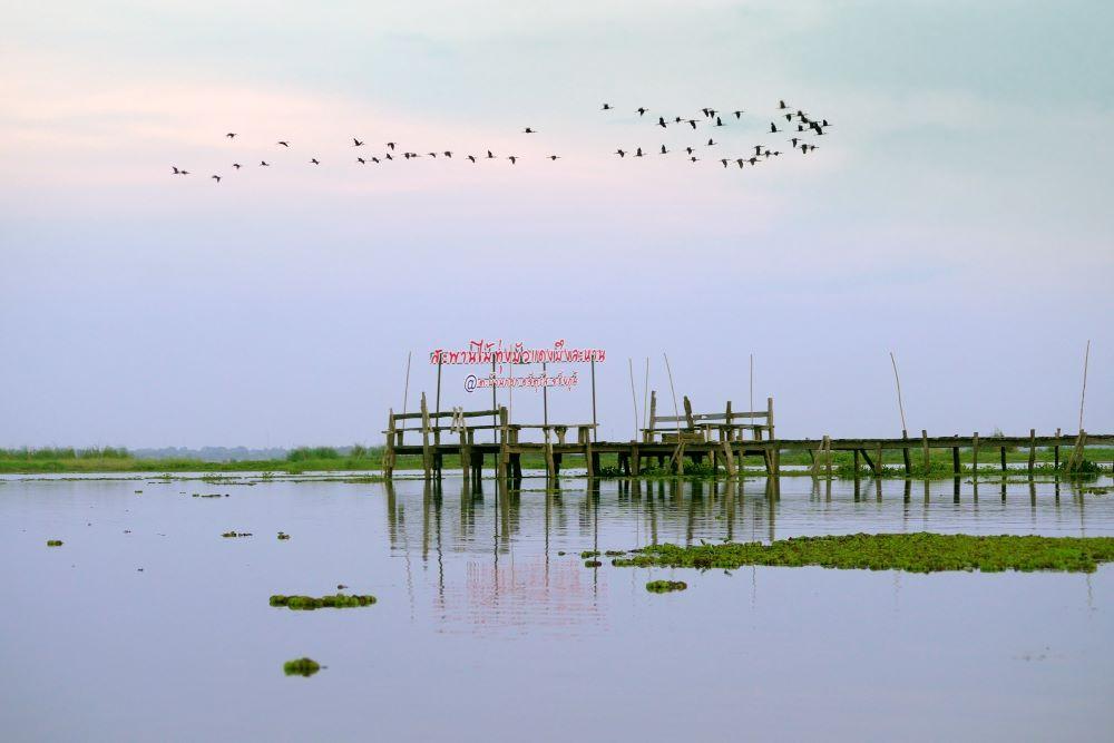 ชัยภูมิ เมืองท่องเที่ยวที่แสนอะเมซิ่ง 9 ที่เที่ยว และ 4 ที่กิน (ร้านอาหาร)