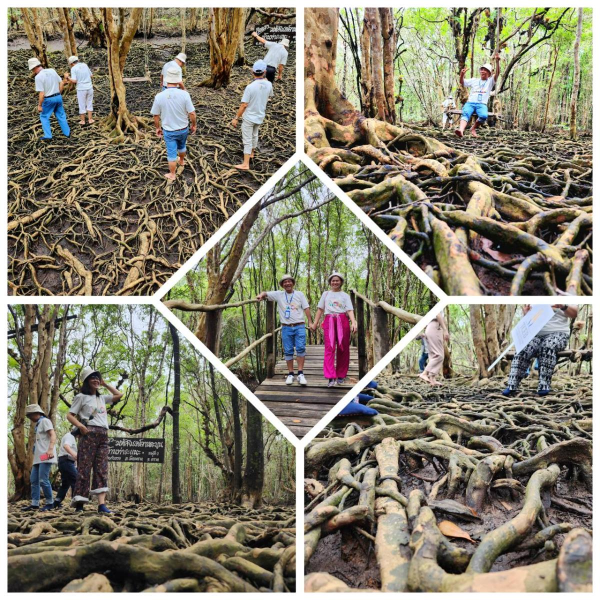 ทริปไมซ์สายสุขภาพ 3 จังหวัดชายฝั่งทะเลตะวันออกกับ TCEB