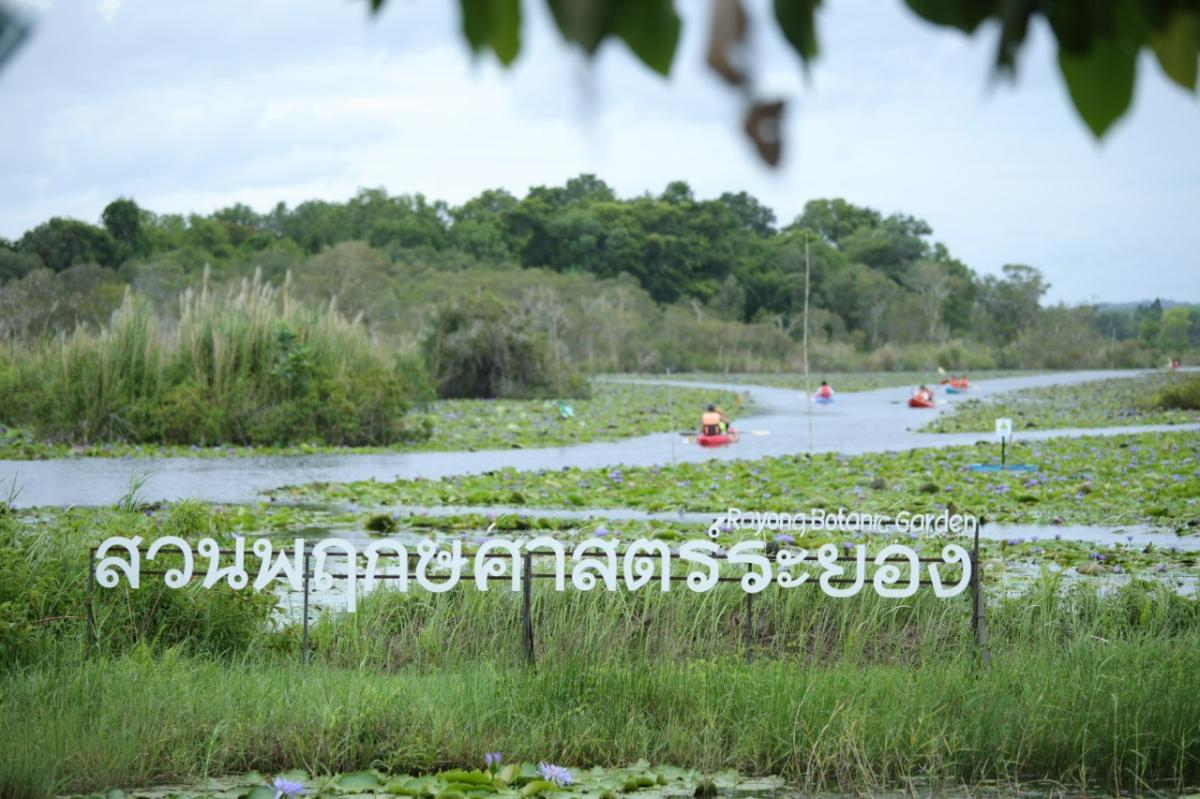 ทริปไมซ์สายสุขภาพ 3 จังหวัดชายฝั่งทะเลตะวันออกกับ TCEB